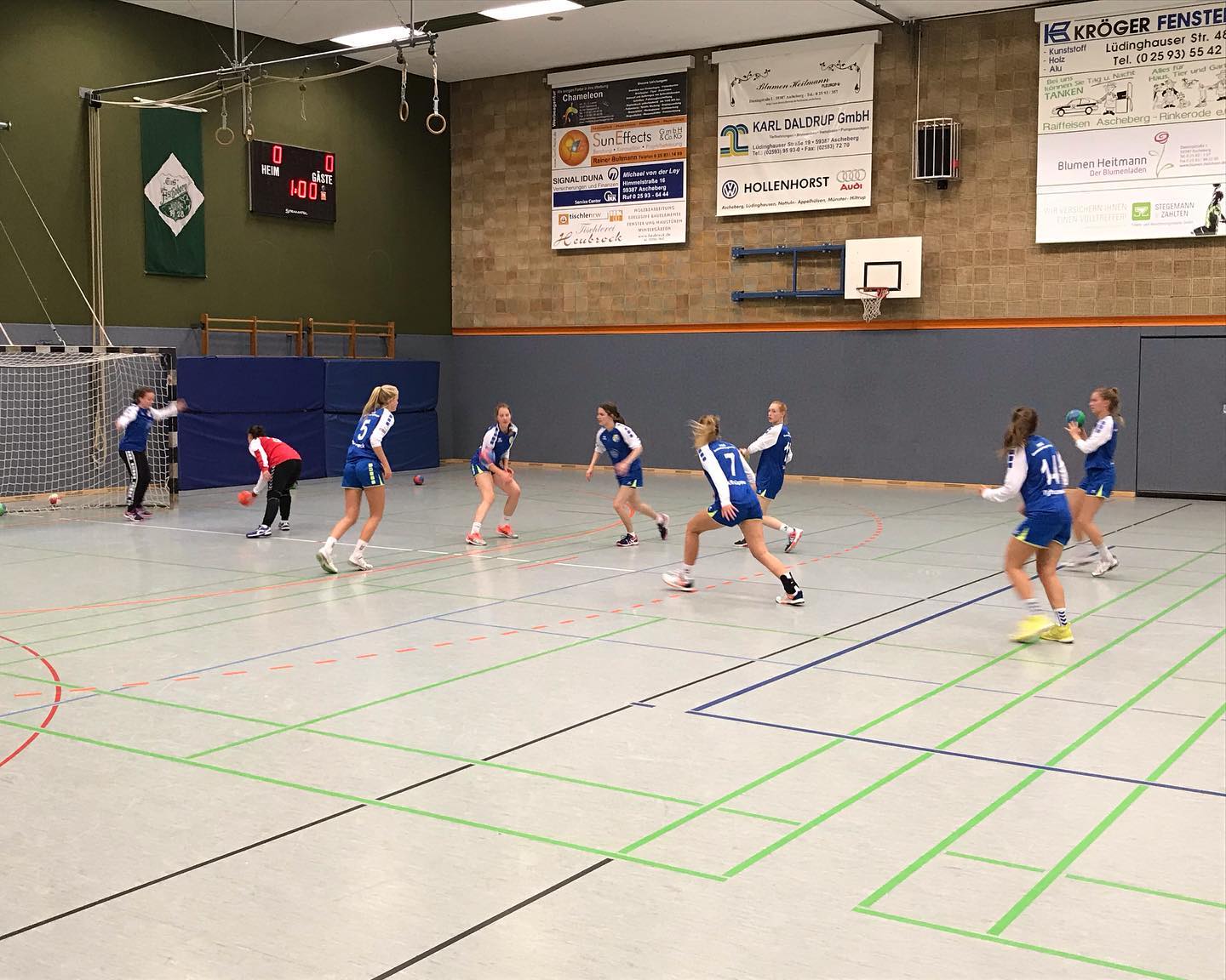 Damen, Handball, HSG Gremmendorf-Angelmodde, AttackePinguin